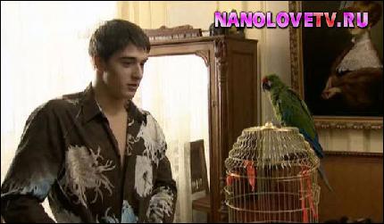 photo_artem_stas_nanolovetv.ru_064 (576x336, 36 kБ...)