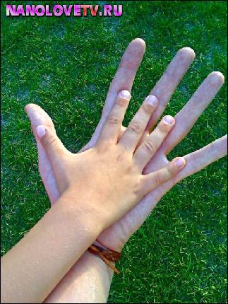 photo_timur_shmelov_nanolovetv.ru_166 (453x604, 101 kБ...)